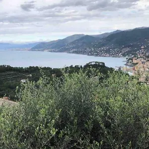 Acqua Marina Apartment Camogli